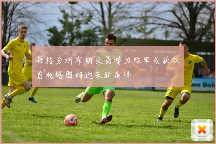 蒂格分析布朗交易潜力绿军或获双首轮塔图姆迎来新高峰